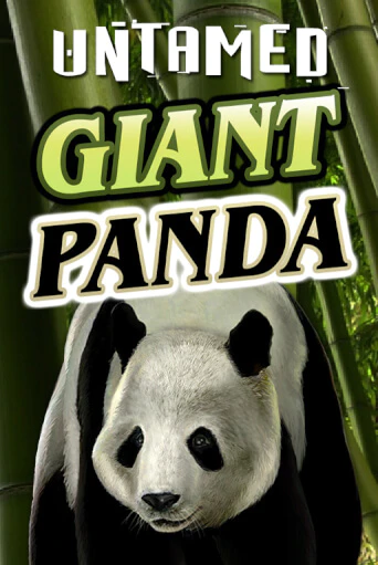 Untamed - Giant Panda - играть онлайн | Казино Рояль - без регистрации